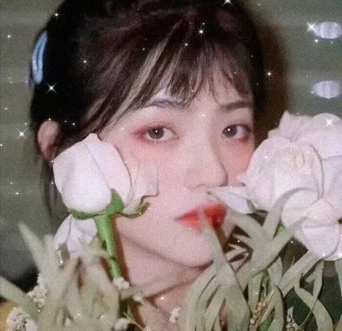 龙眼
